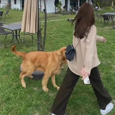 对倒